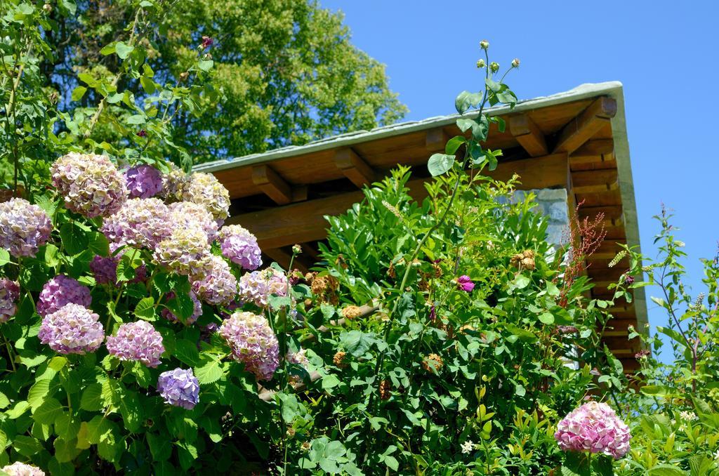 Guesthouse Iris Tsagarada Exterior foto